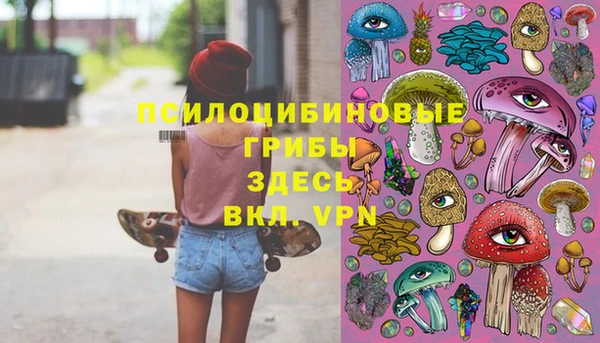 бошки Красноперекопск