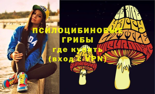 бошки Красноперекопск
