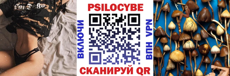 Галлюциногенные грибы прущие грибы  где продают   Томмот 